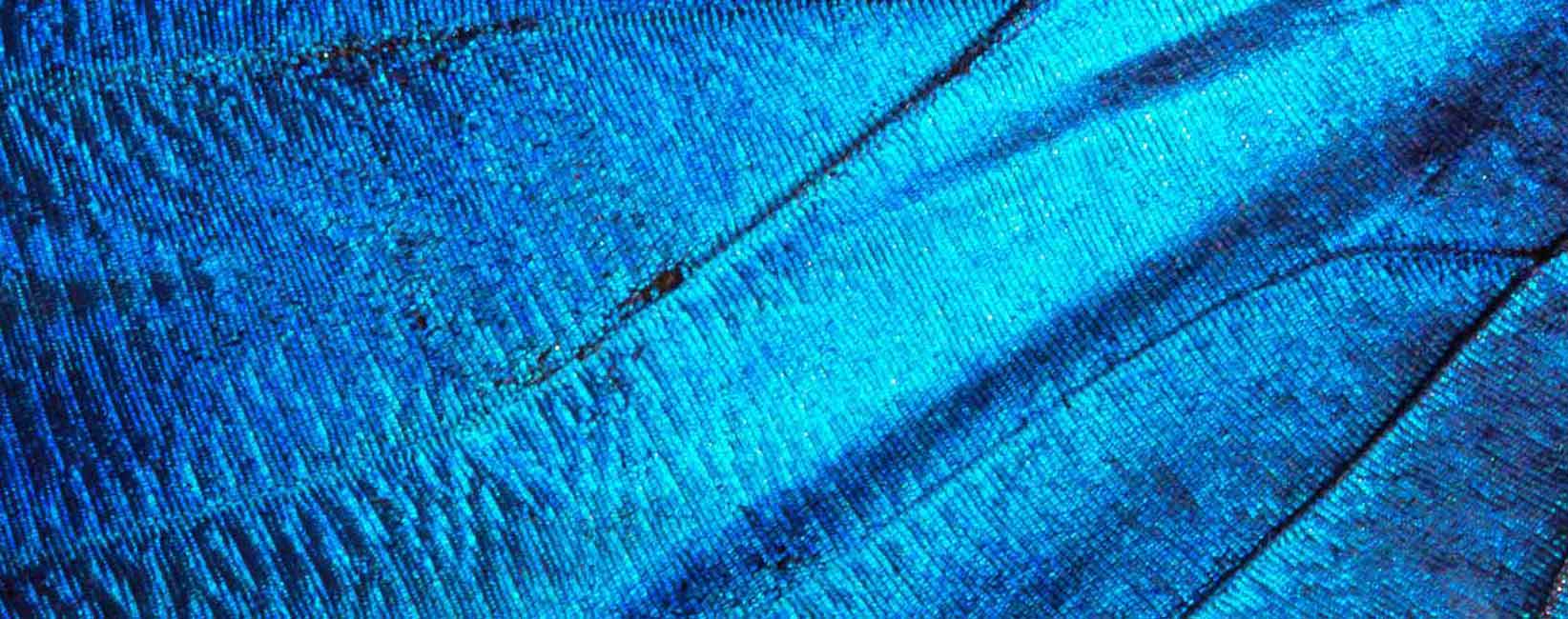 blue_colour چرخه رنگ در طراحی داخلی
