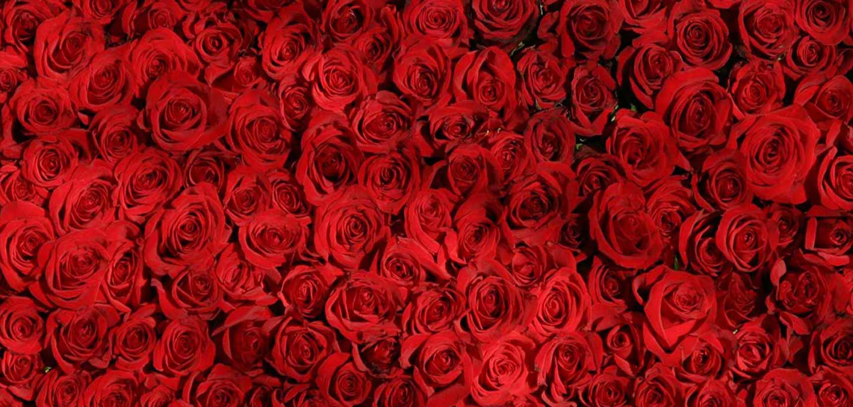red_colour آشنایی با رنگ در طراحی داخلی