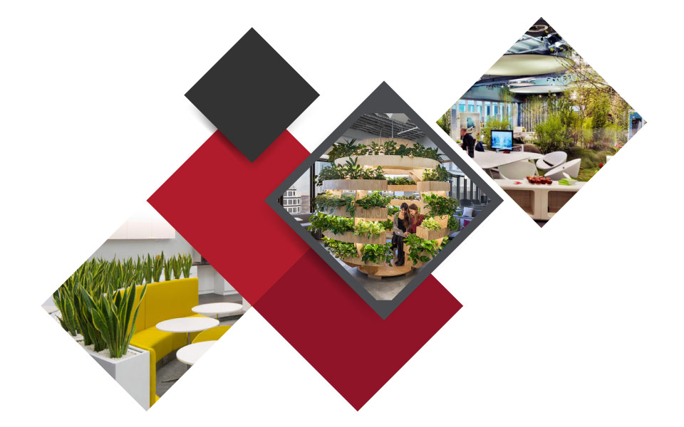 biophilic_design دکوراسیون داخلی محل کار