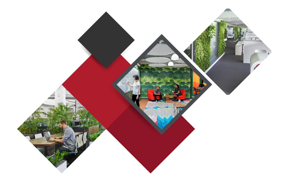 plants_in_office دکوراسیون داخلی محل کار